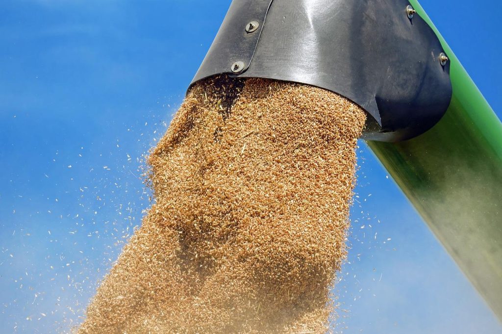 Moderne graanopslagfaciliteit met klimaatgecontroleerde silo voor de veevoersector